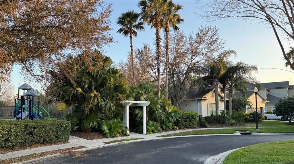Backyard, Exterior, Playground