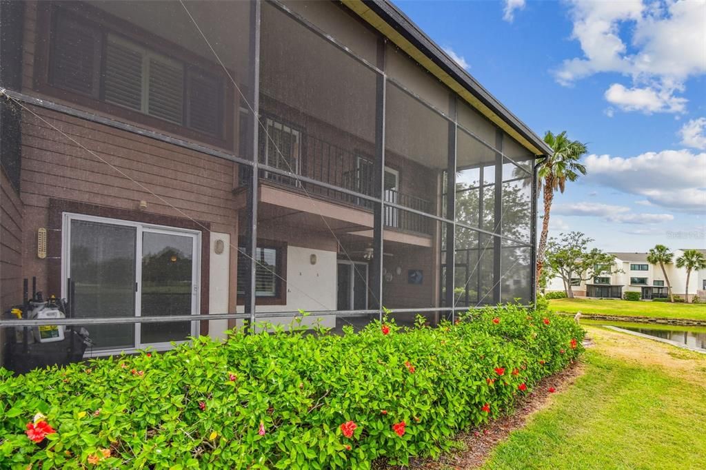 Backyard, Exterior, Water