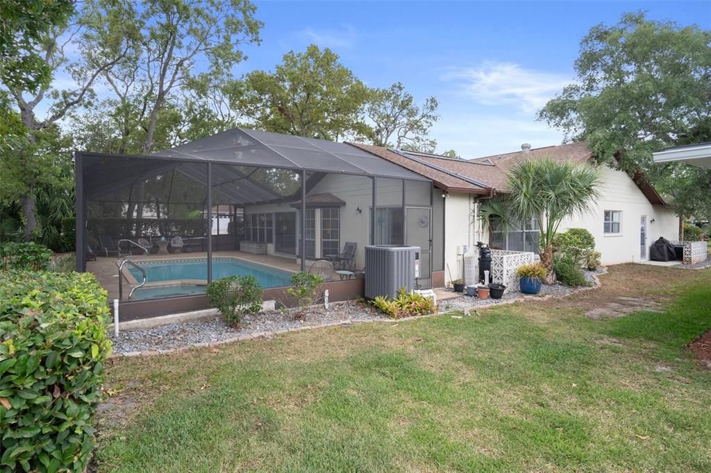Backyard, Exterior, Pool