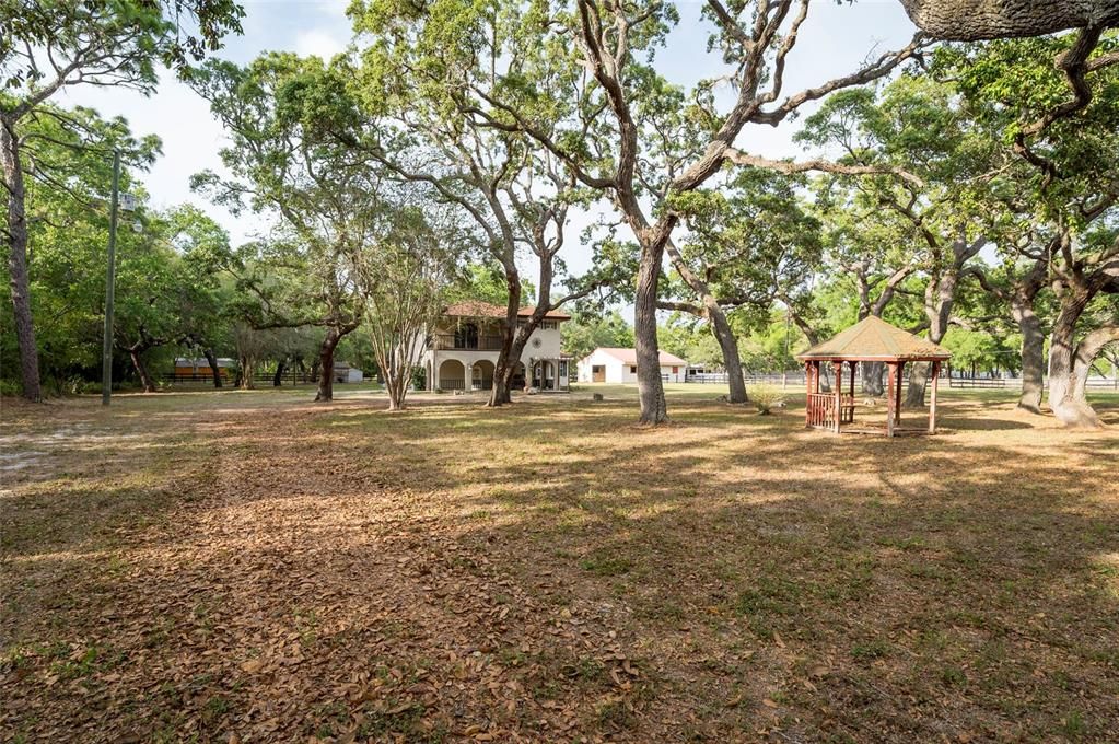 Backyard, Exterior, Playground