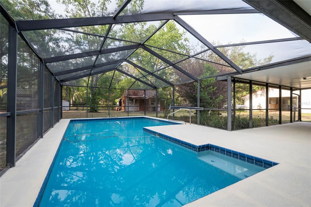 Glass Ceilings, Interior, Pool, Sun Room