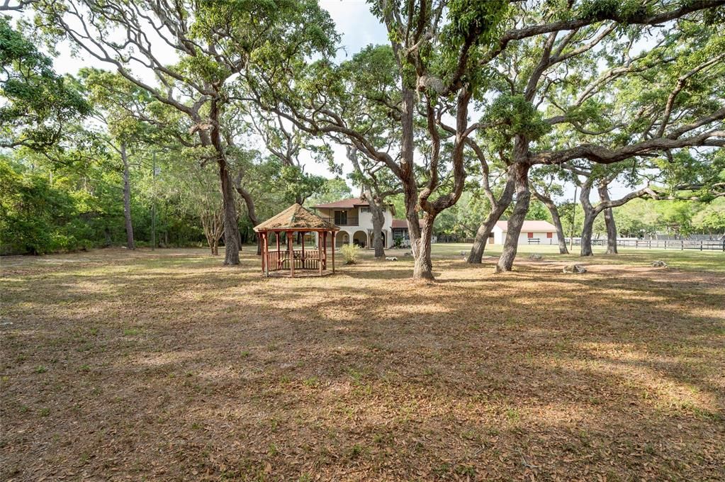 Backyard, Exterior