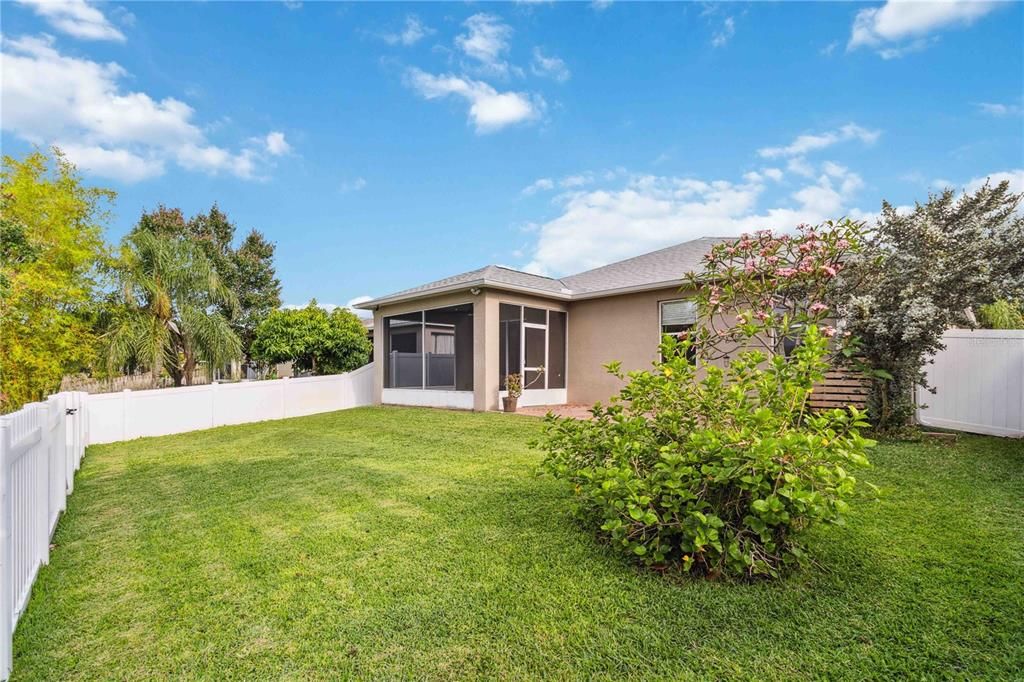 Backyard, Exterior