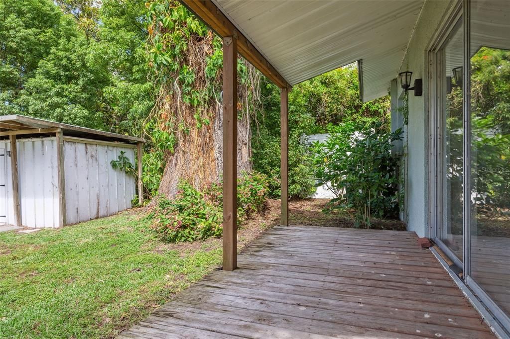 Backyard, Exterior