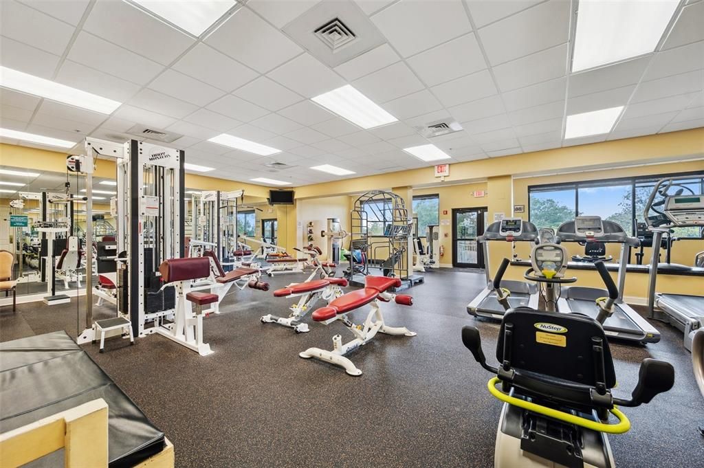 Fitness Equipment, Gym, Interior, Recessed Lighting