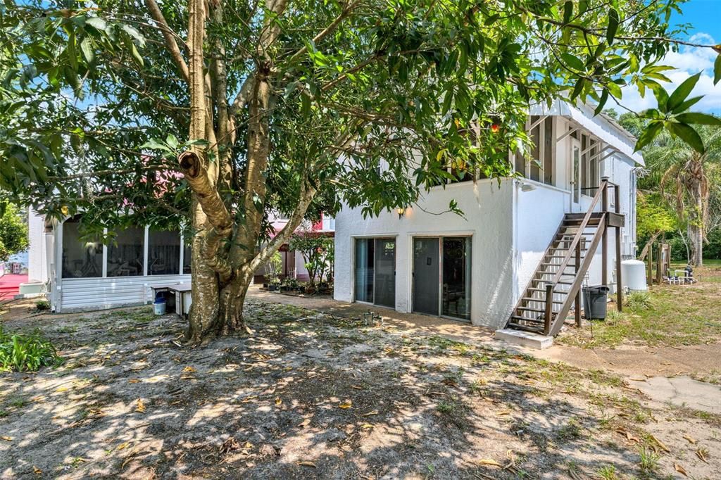 Backyard, Exterior