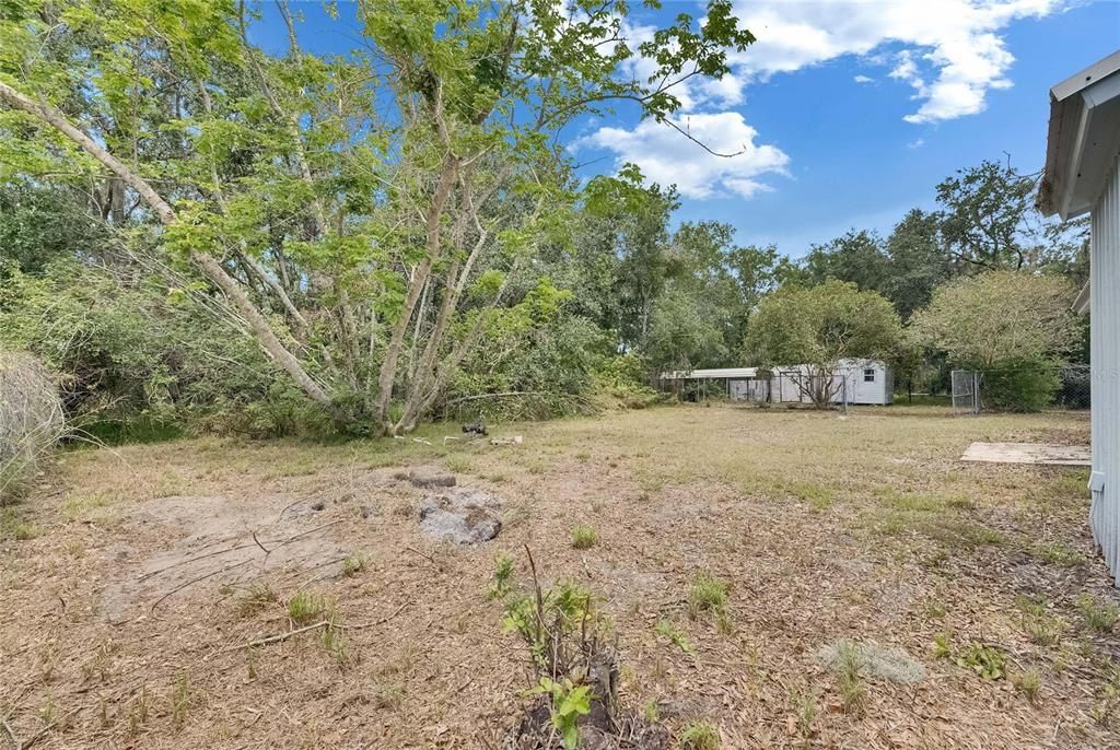 Backyard, Exterior