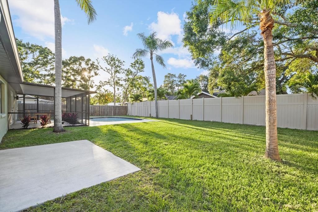Backyard, Exterior, Pool