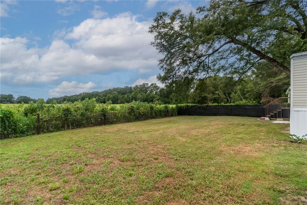 Backyard, Exterior