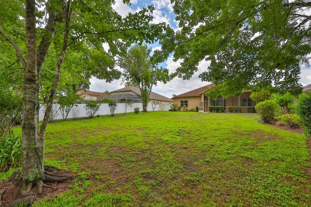 Backyard, Exterior