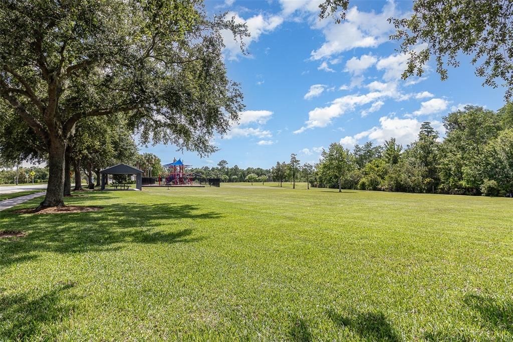 Backyard, Exterior, Playground