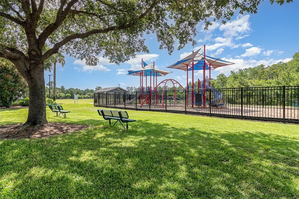 Backyard, Exterior, Playground