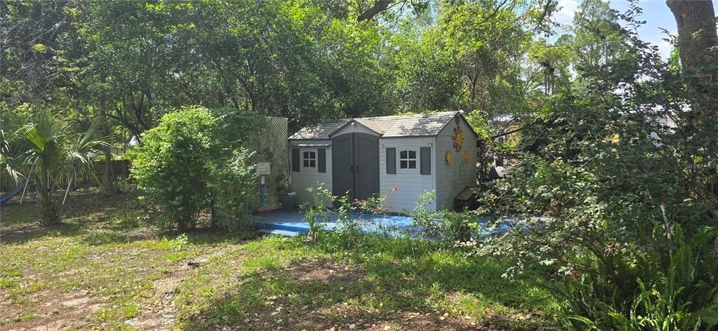 Backyard, Exterior, Pool
