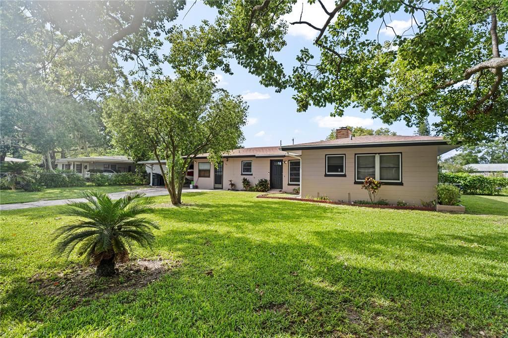 Backyard, Exterior
