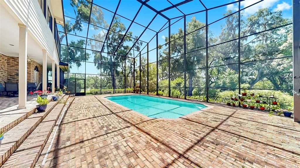 Glass Ceilings, Interior, Pool, Sun Room