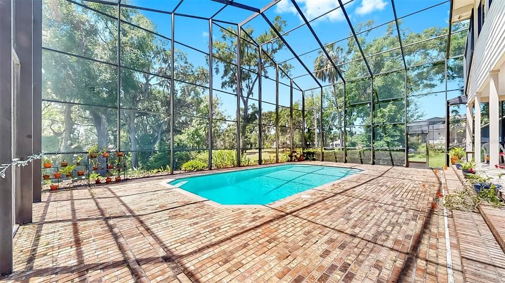 Glass Ceilings, Interior, Pool, Sun Room