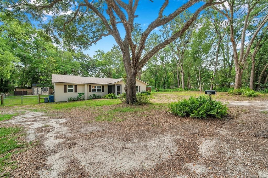 Backyard, Exterior