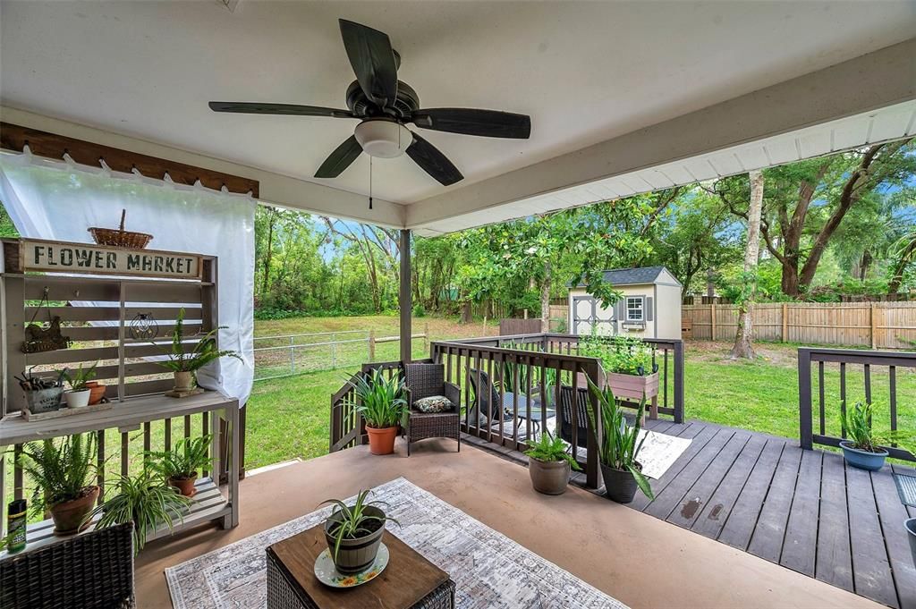 Backyard, Exterior