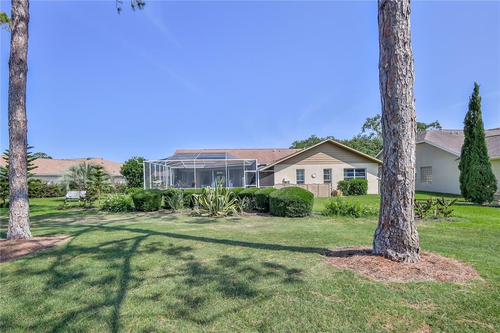 Backyard, Exterior
