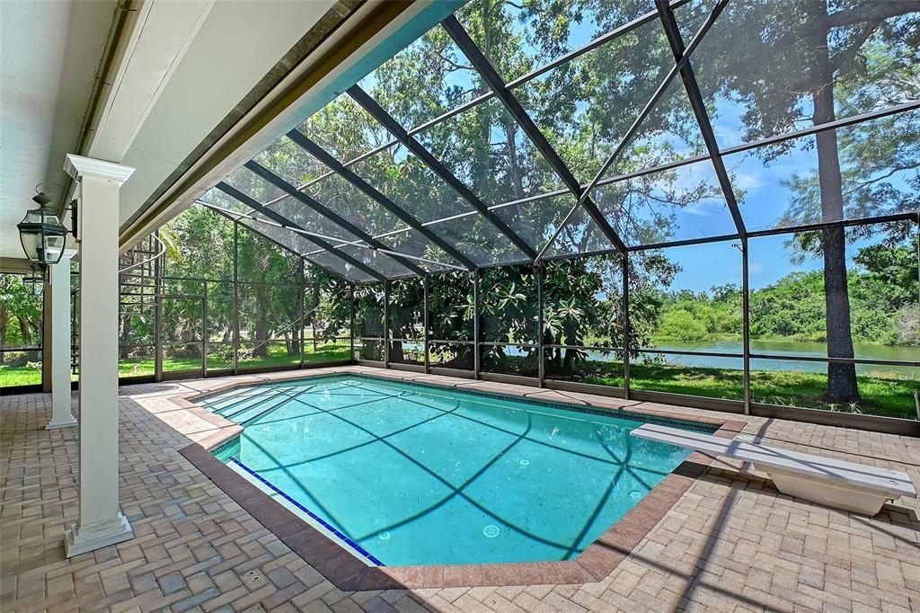 Glass Ceilings, Interior, Pool, Sun Room