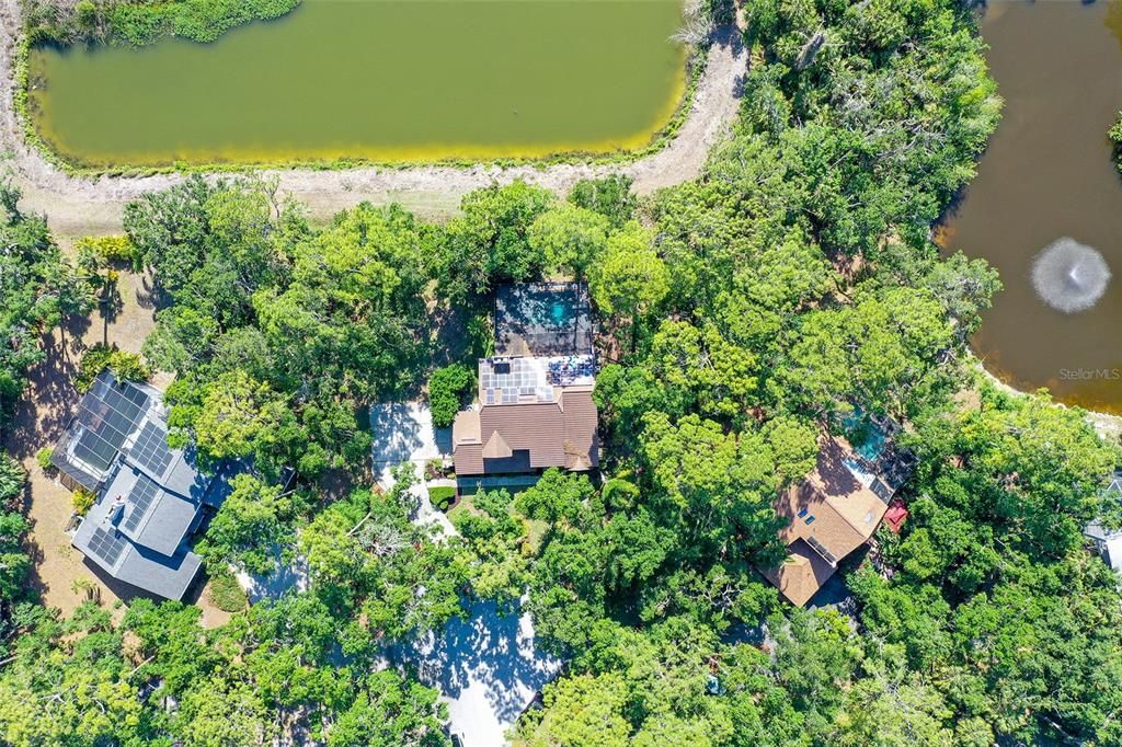 Exterior, Drone
