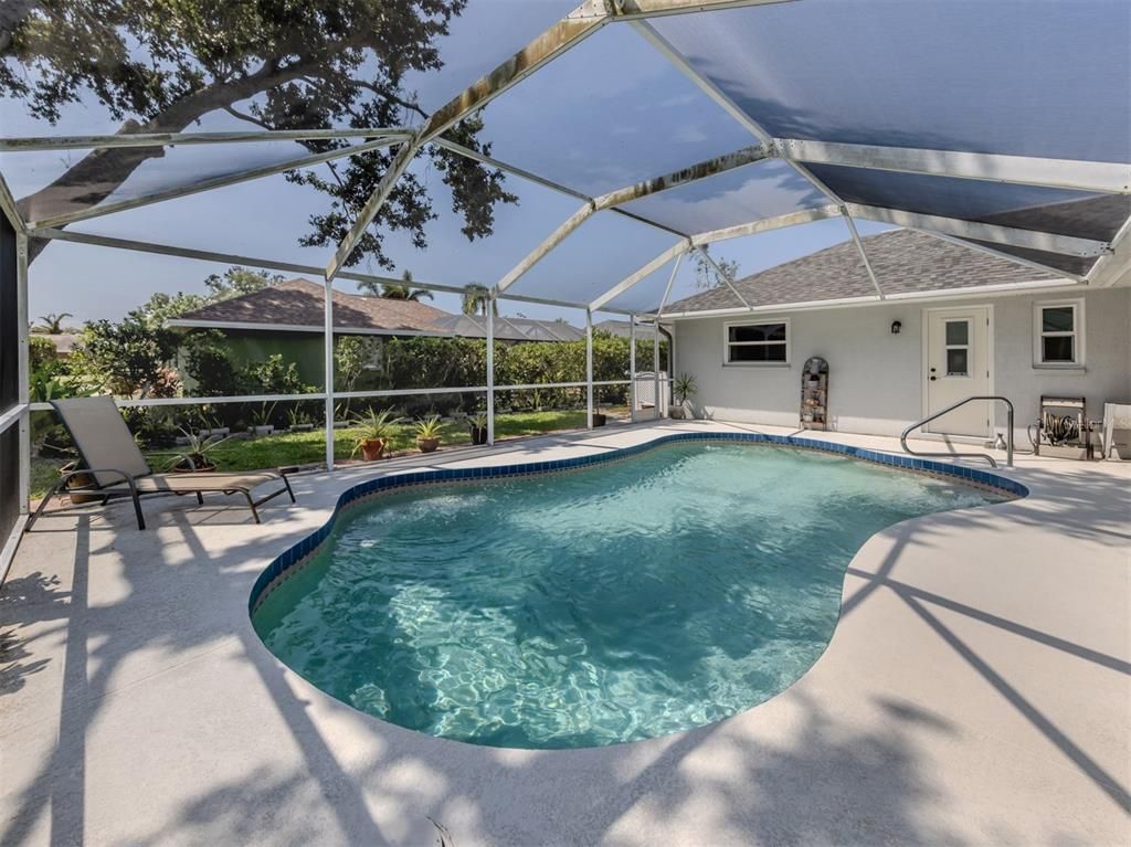 Glass Ceilings, Interior, Pool, Sun Room