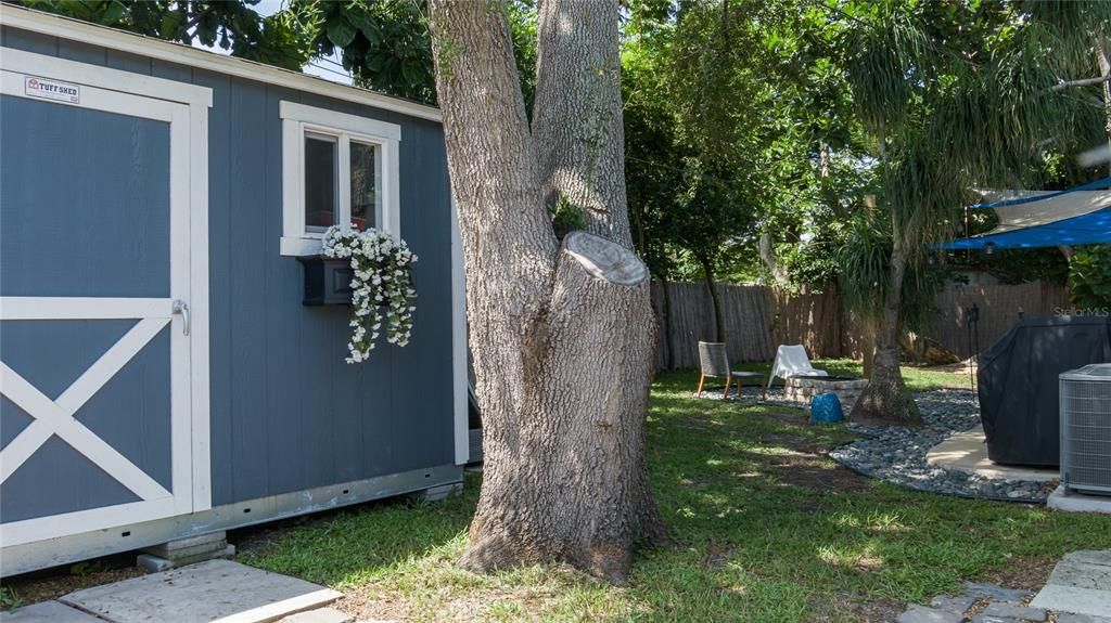 Backyard, Exterior