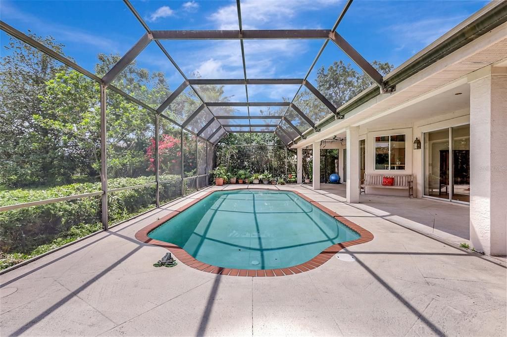 Glass Ceilings, Interior, Pool, Sun Room