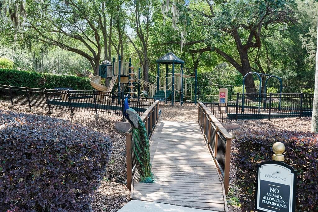 Backyard, Exterior, Playground