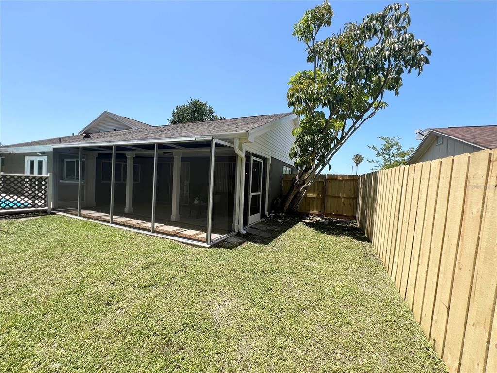 Backyard, Exterior