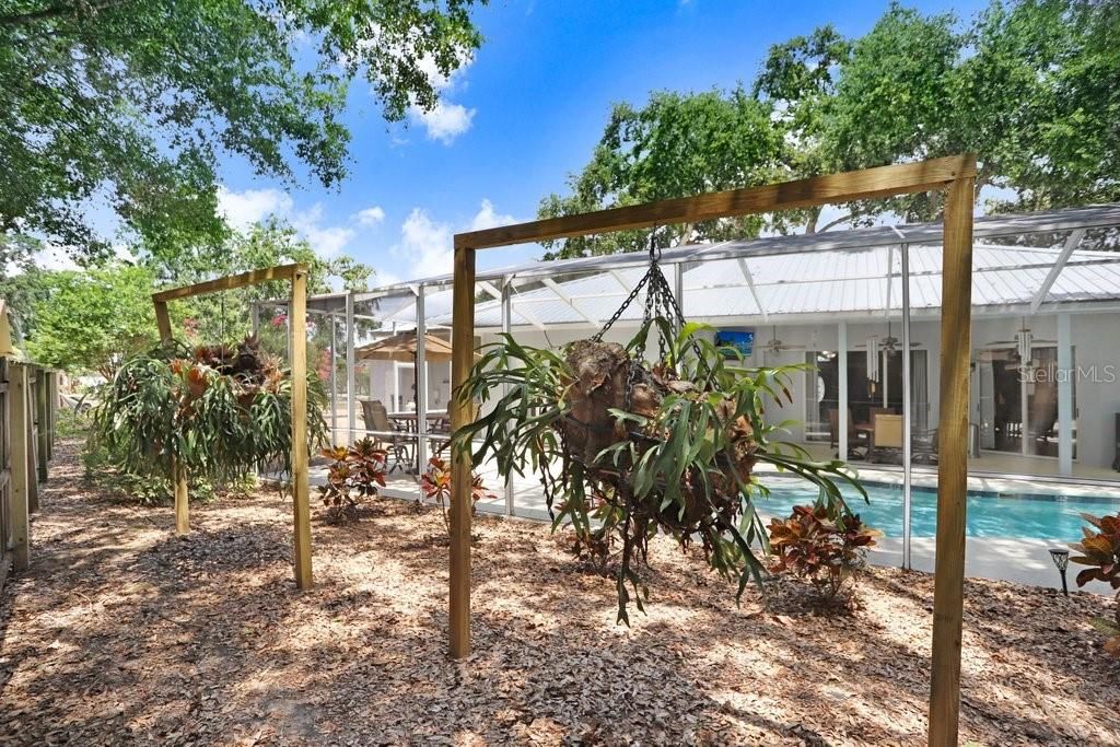 Backyard, Exterior, Pool