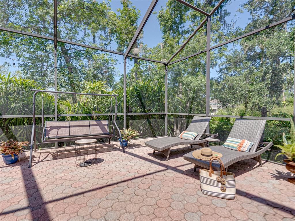 Glass Ceilings, Interior, Sun Room