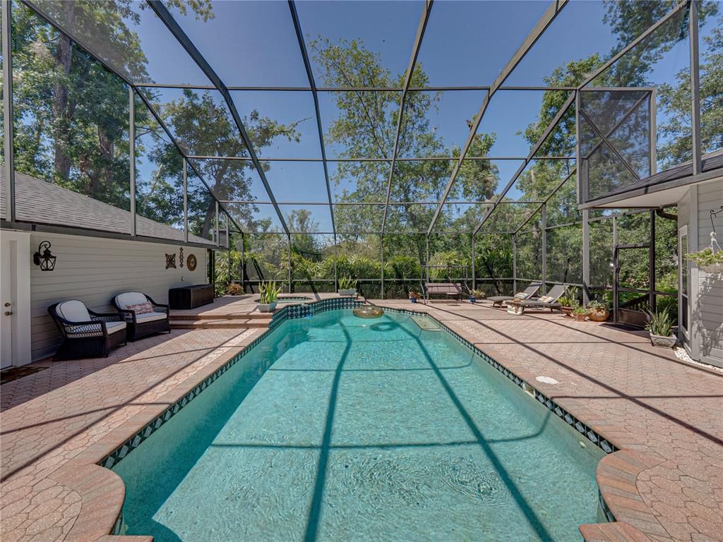 Glass Ceilings, Interior, Pool, Sun Room