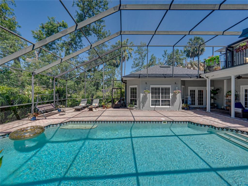 Glass Ceilings, Interior, Pool, Sun Room