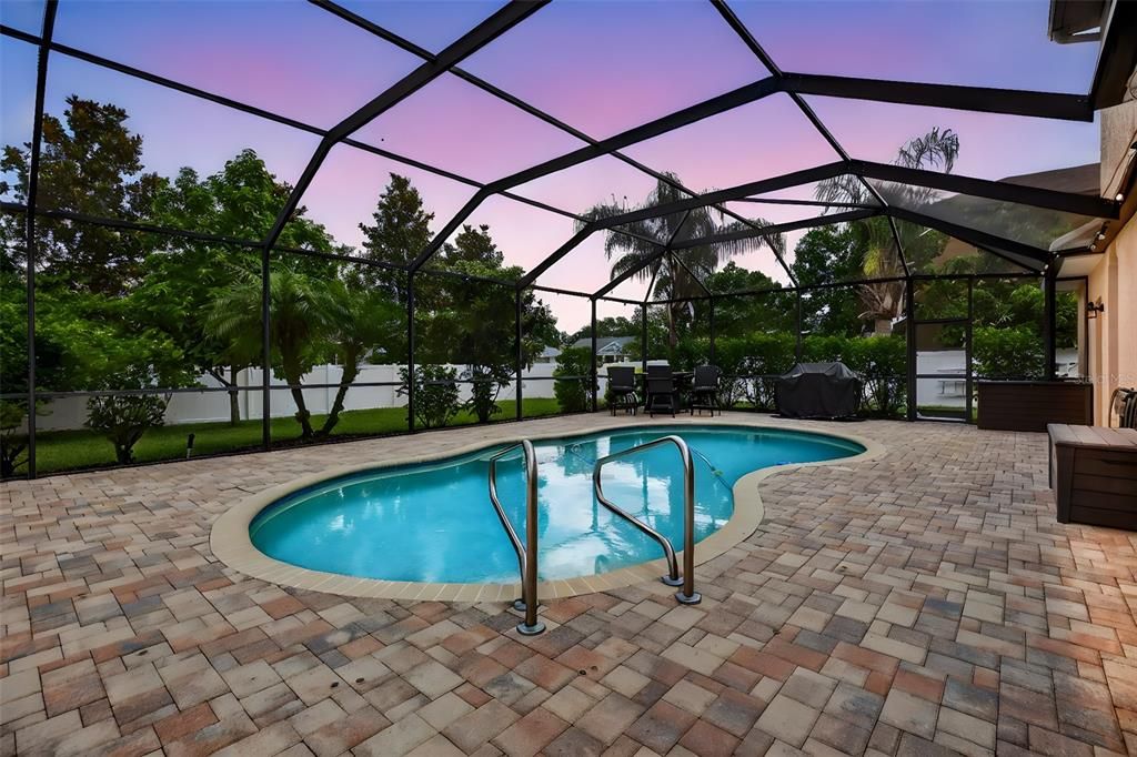 Glass Ceilings, Interior, Pool, Sun Room