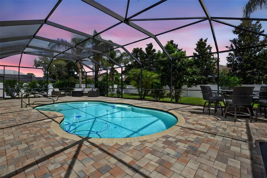 Glass Ceilings, Interior, Pool, Sun Room