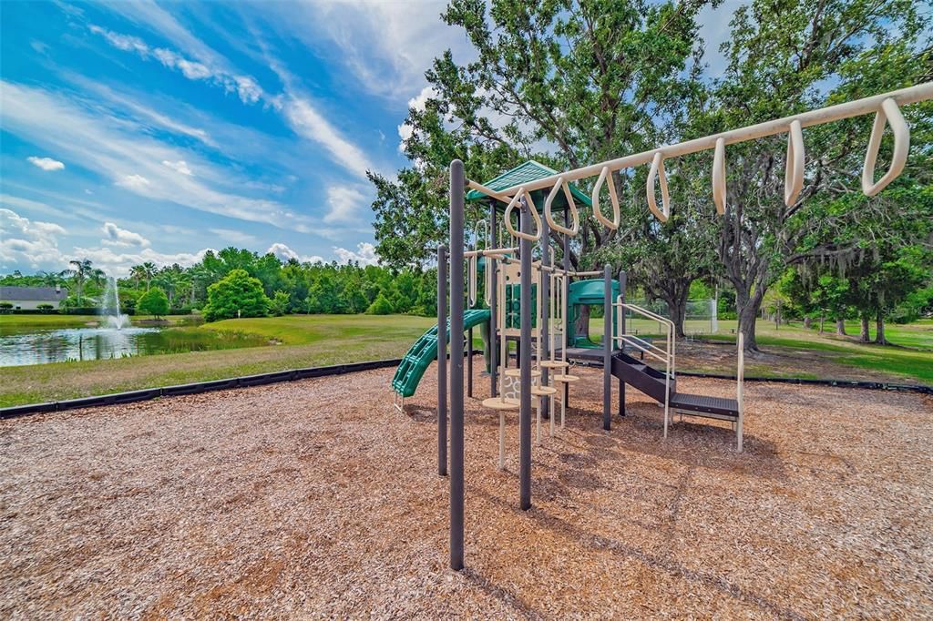 Backyard, Exterior, Playground, Water