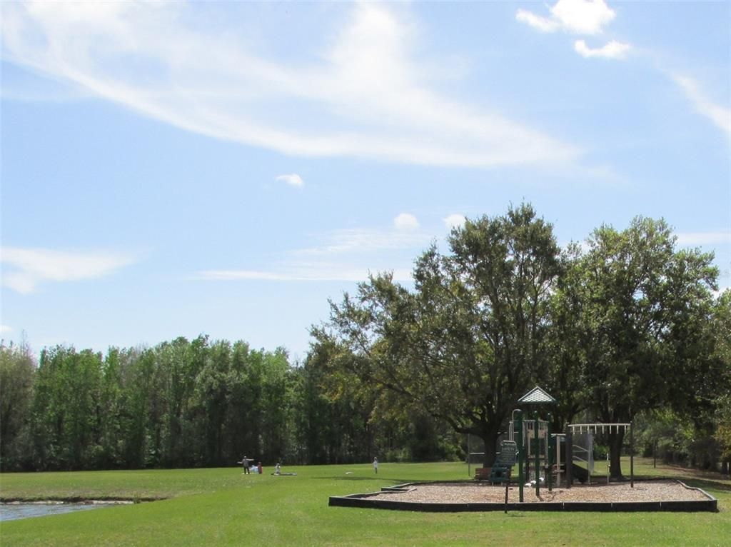 Backyard, Exterior, Playground