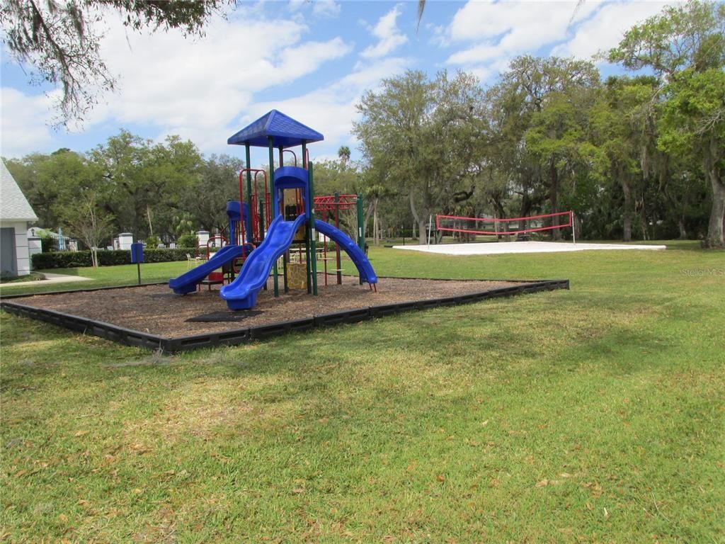 Backyard, Exterior, Playground