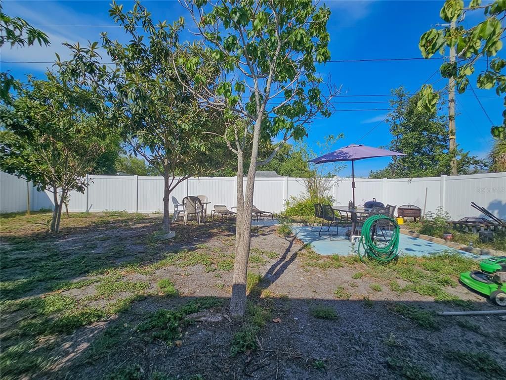 Backyard, Exterior