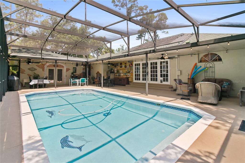 Glass Ceilings, Interior, Pool, Sun Room