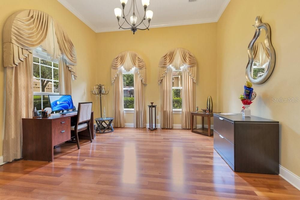 Chandelier, Interior, Wood Texture Flooring