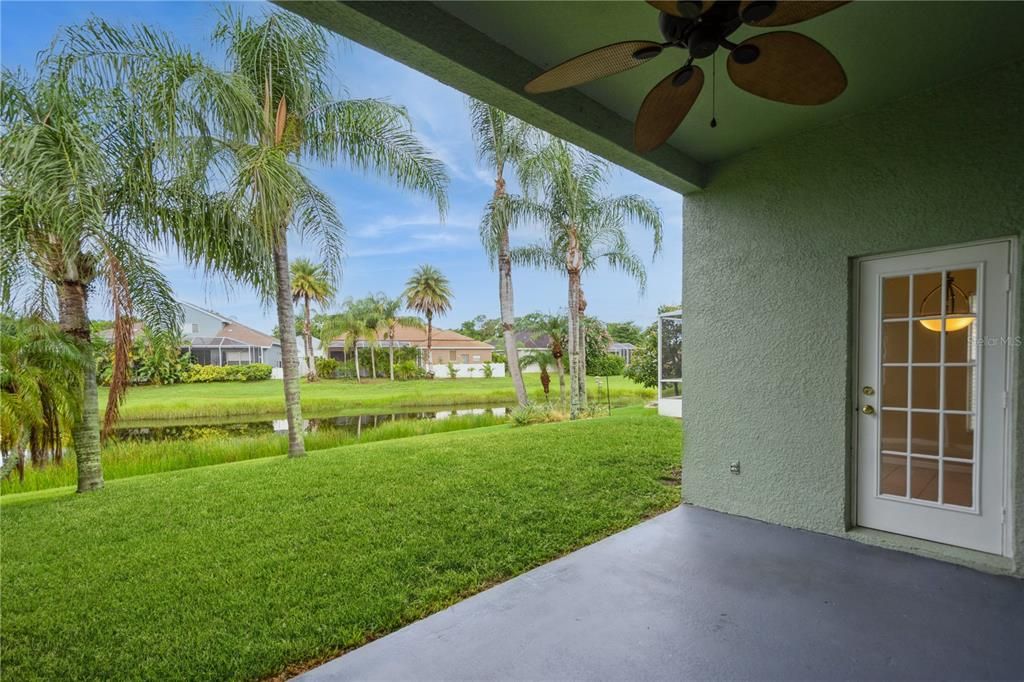 Backyard, Exterior, Water