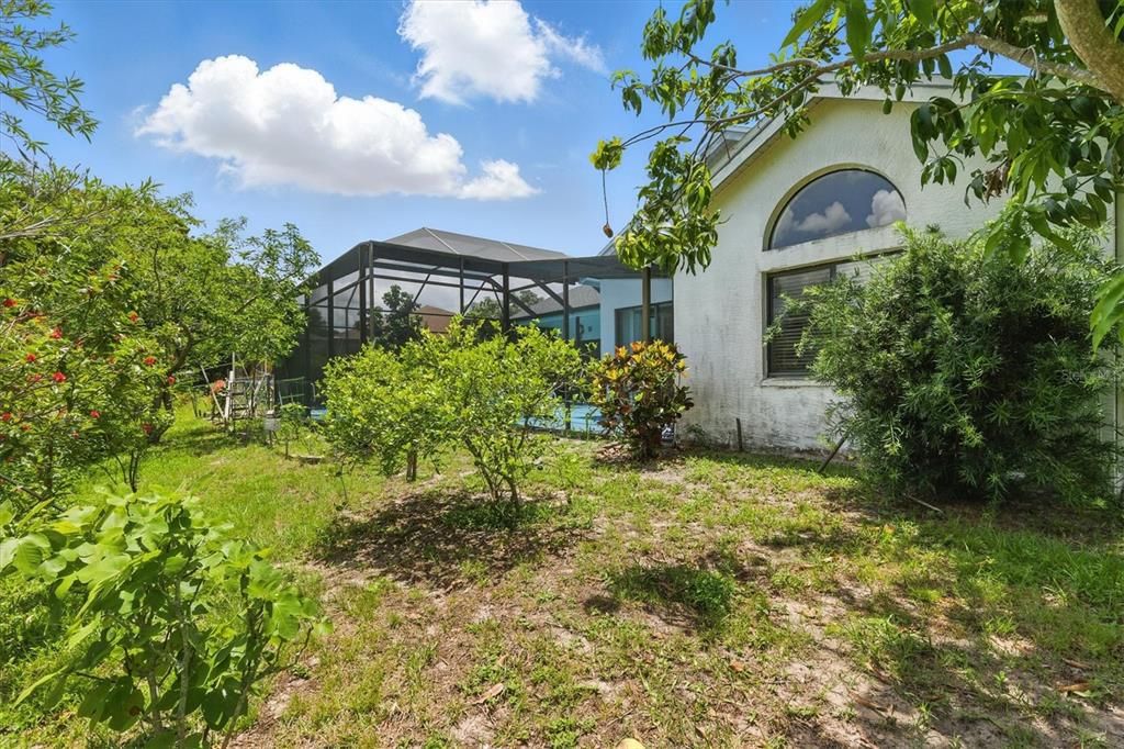 Backyard, Exterior
