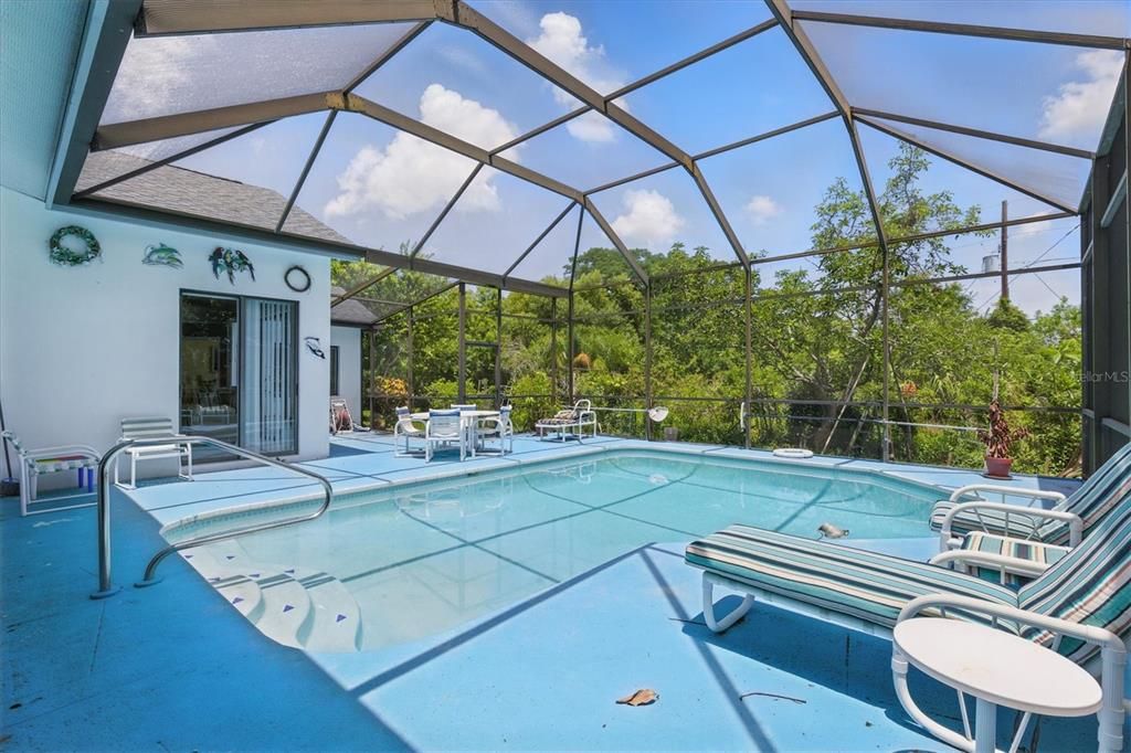 Glass Ceilings, Interior, Pool, Sun Room