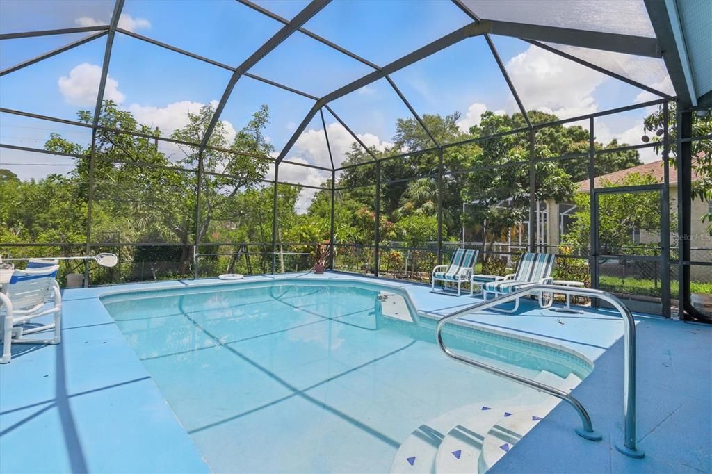 Glass Ceilings, Interior, Pool, Sun Room