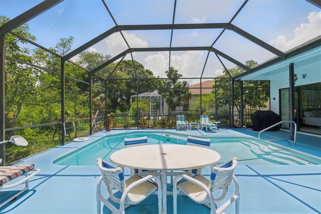Glass Ceilings, Interior, Pool, Sun Room