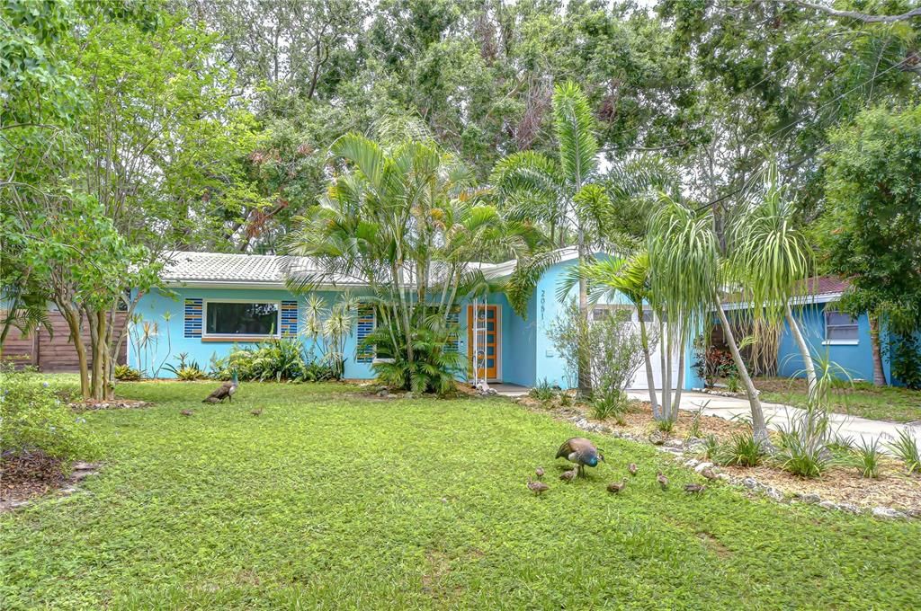 Backyard, Exterior