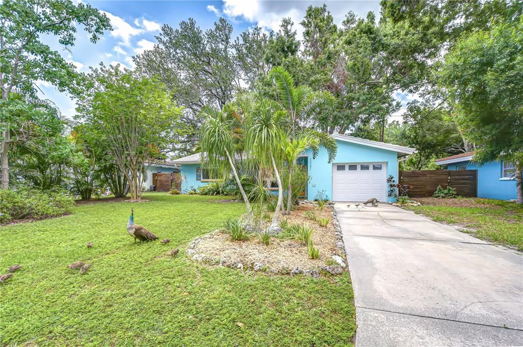Backyard, Exterior