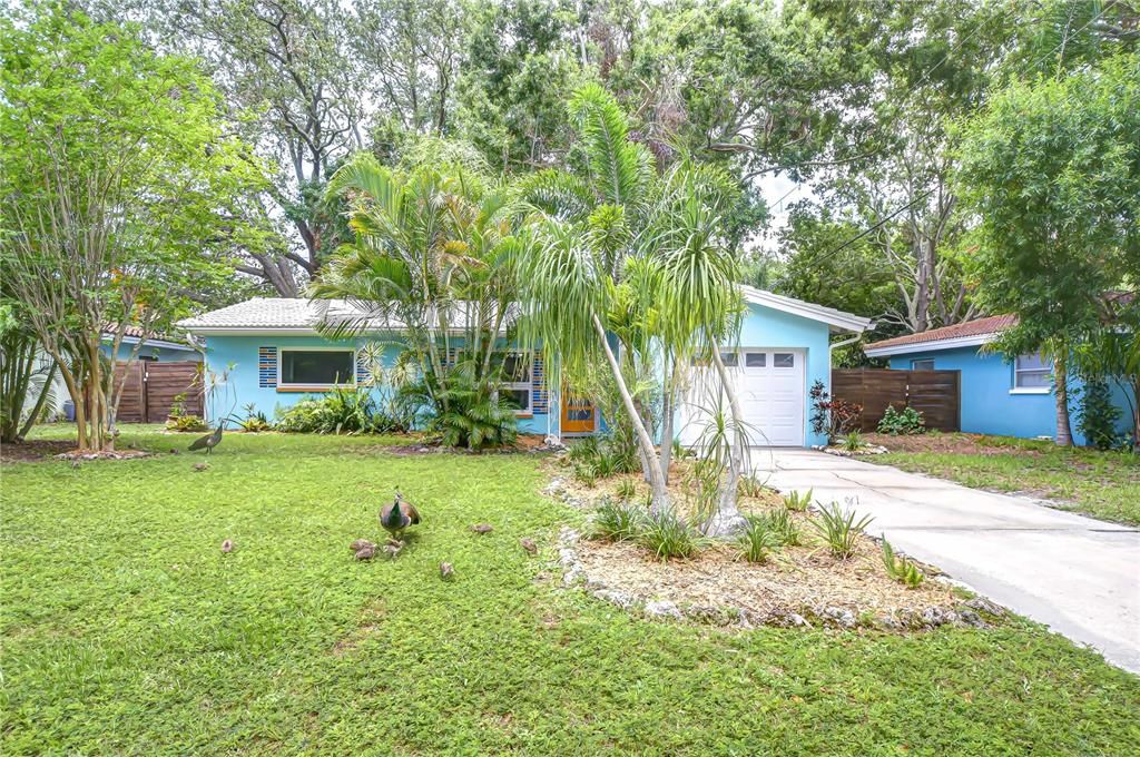 Backyard, Exterior